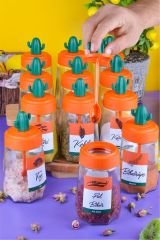 Cactus Figured Glass Spice Set with 12 Pieces Covered and 24 Pieces Label Set 370ml